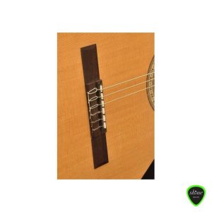 Camps Cut-Eco Electro Spanish Guitar