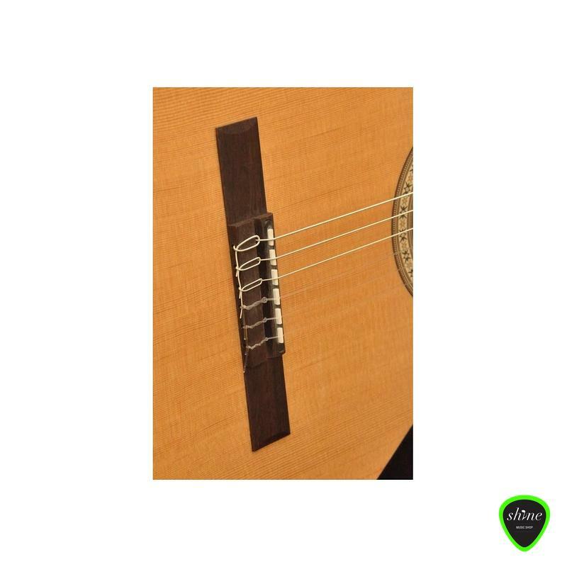 Camps Cut Eco Electro Spanish Guitar Back View 2