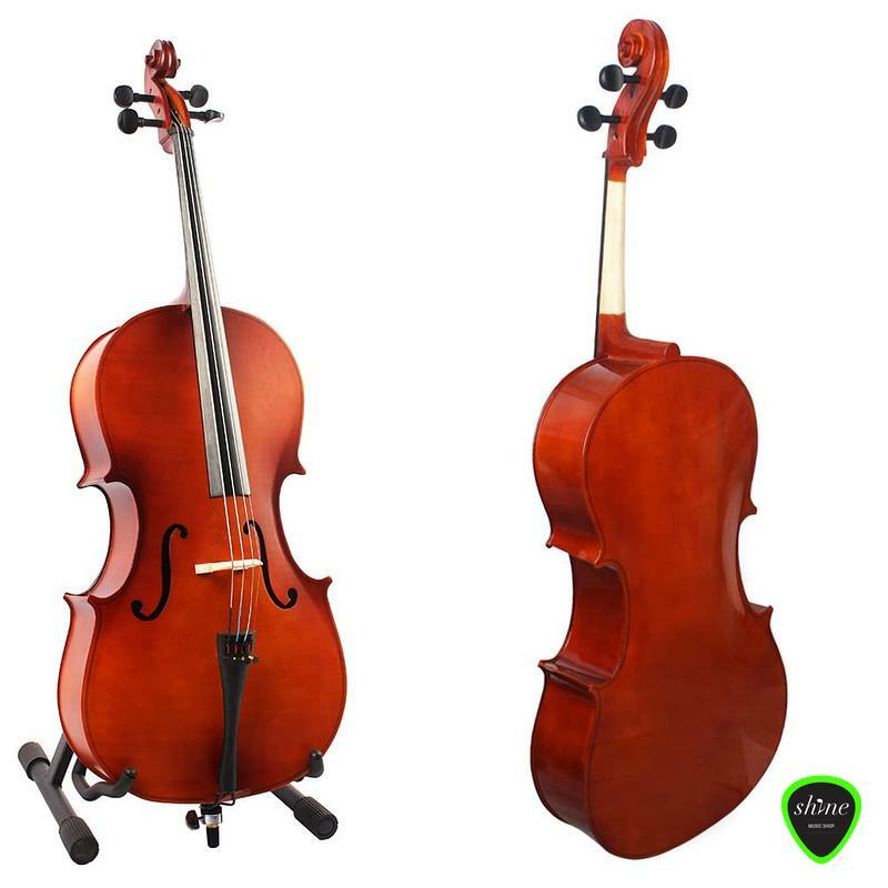 Palatino 40c Cello Back View 1