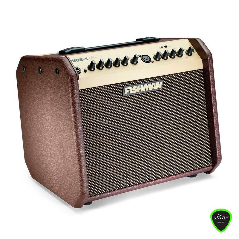 Goldea Ga 60 Guitar Combo Amp Side Right View 2