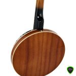 Harley Benton Hbj 25 5 String Banjo Front View 2