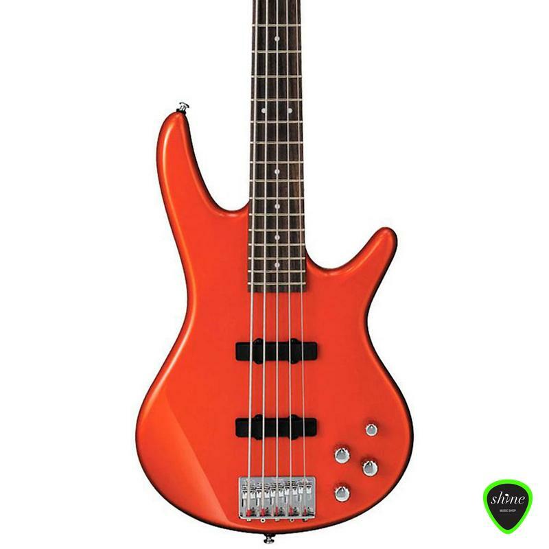 Ibanez Gsr205 5 String Bass Guitar Front View 2