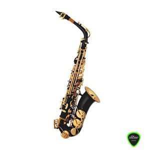 TAYLOR COLLINS TCAS-07