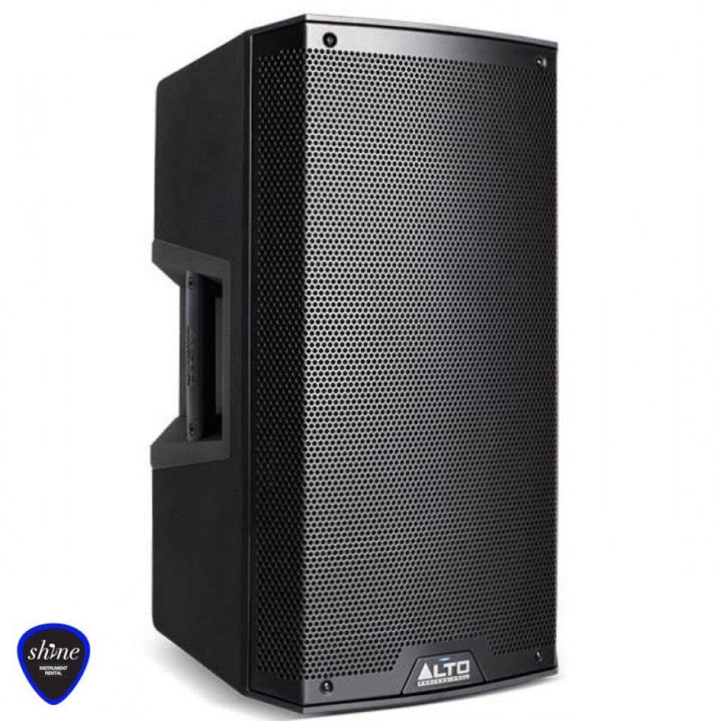 Alto Truesonic TS312 Speaker