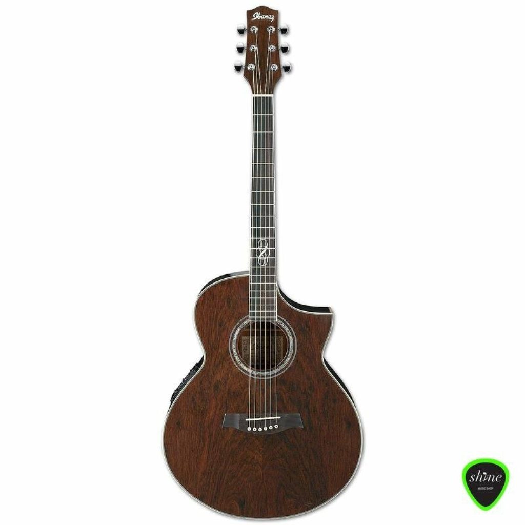 Ibanez EW20WNE NT elektro-akoestische gitaar