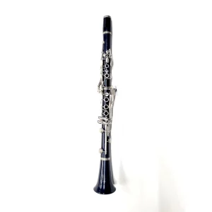 Boosey & Hawkes Regent Bb Clarinet