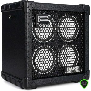 Roland Micro Cube RX Amplifier